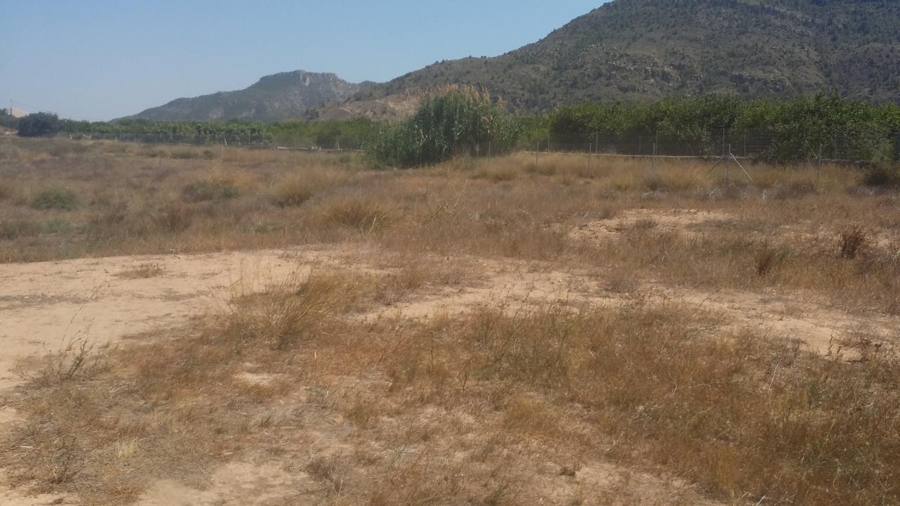02-08-2018_20180724_161003.jpg