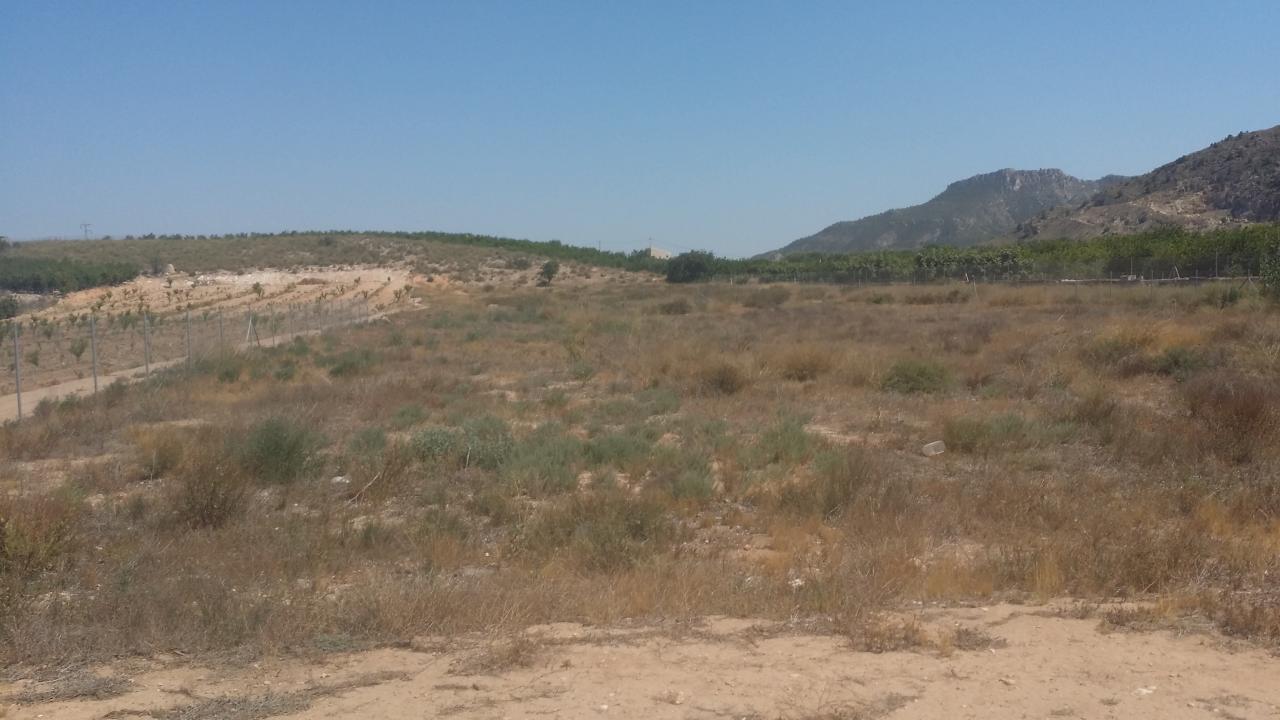 02-08-2018_20180724_161013.jpg