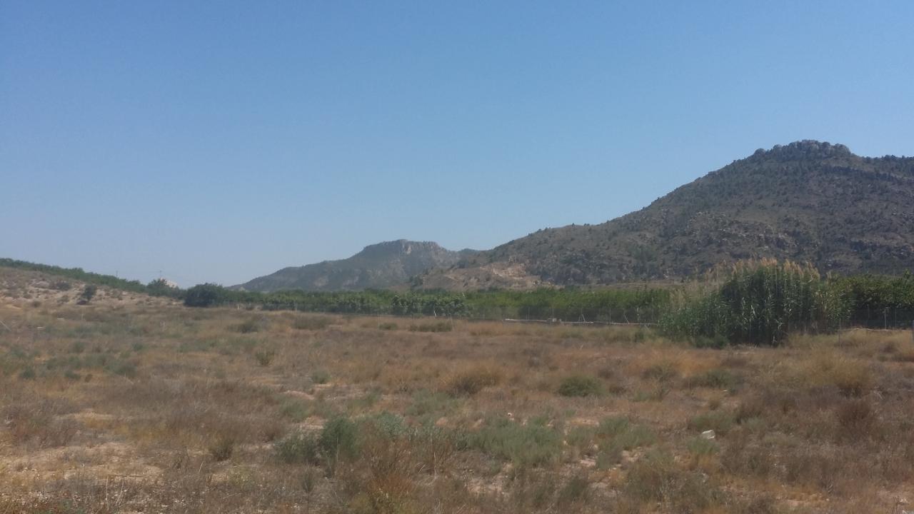 02-08-2018_20180724_161231.jpg