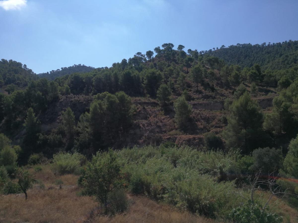 02-08-2021_IMG-20210730-WA0067.jpg
