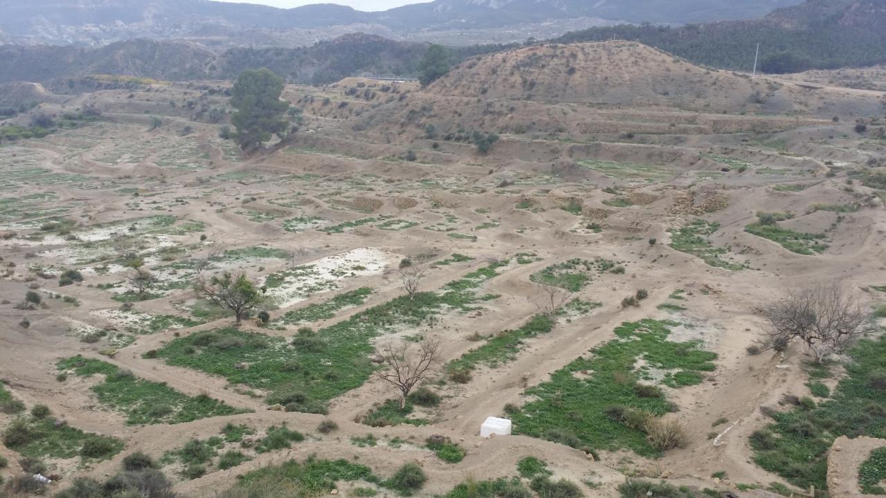 03-03-2017_20141130_122308.jpg