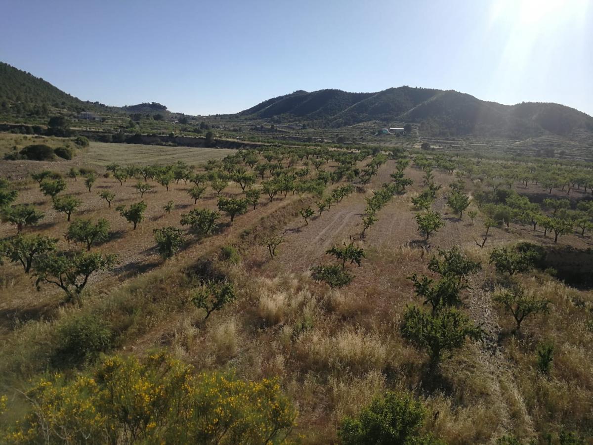 03-06-2019_IMG-20190531-WA0054.jpg