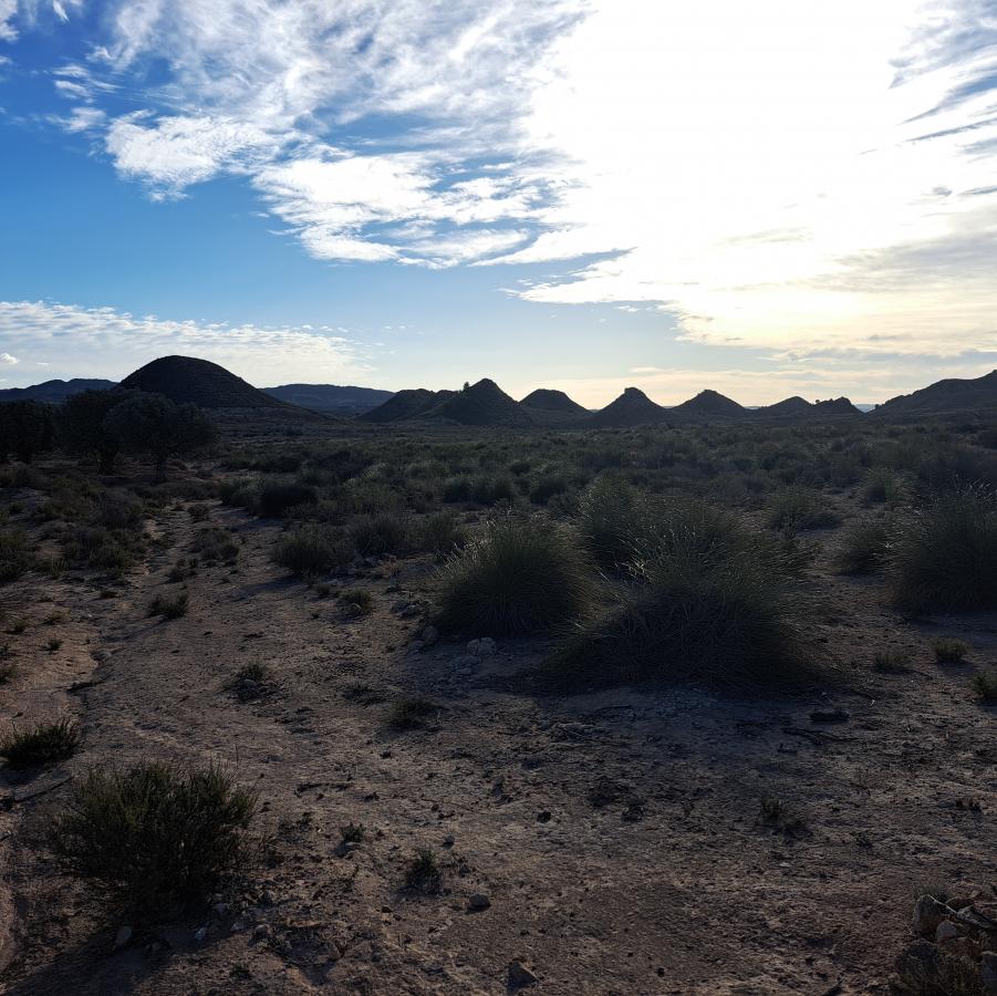 03-11-2023_20231103_092319.jpg