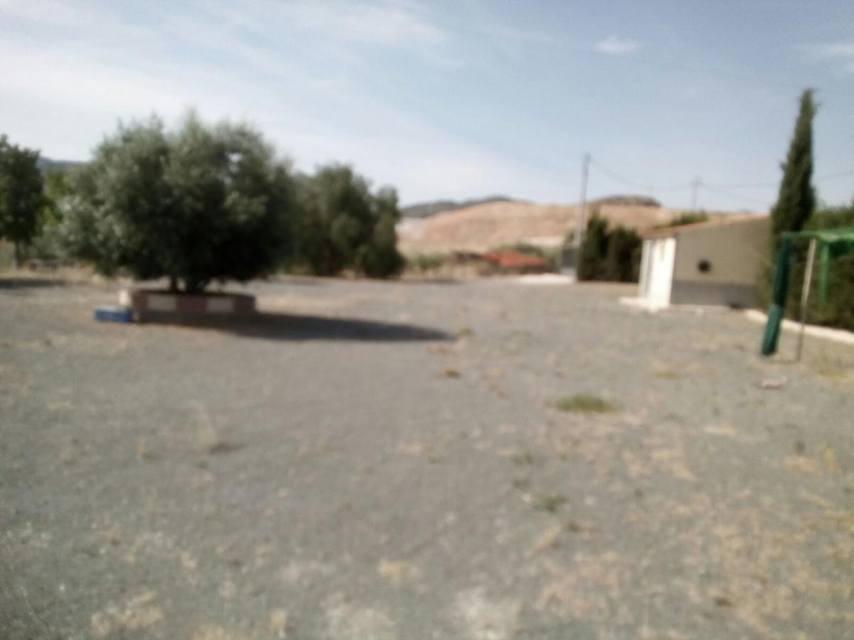 04-01-2019_IMG-20190104-WA0011.jpg