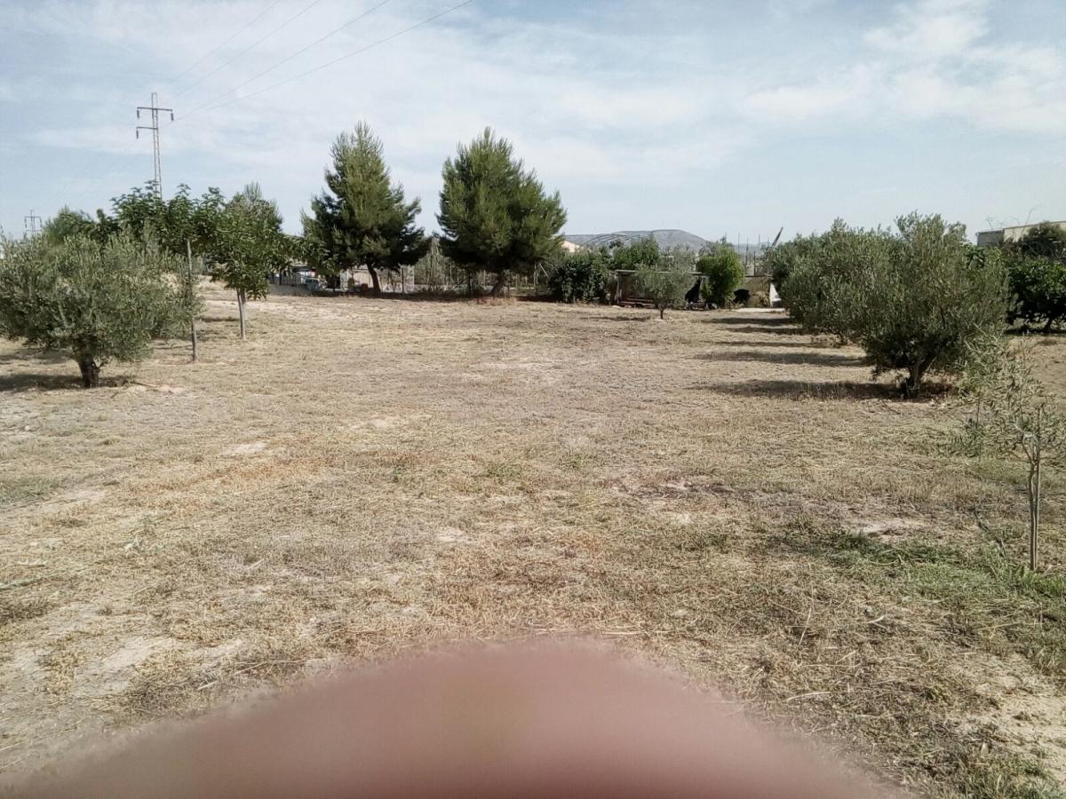 04-01-2019_IMG-20190104-WA0016.jpg