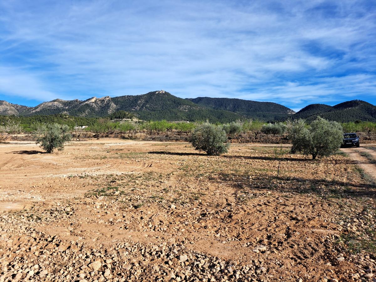 04-04-2024_16-03-2023_20230314_170916.jpg