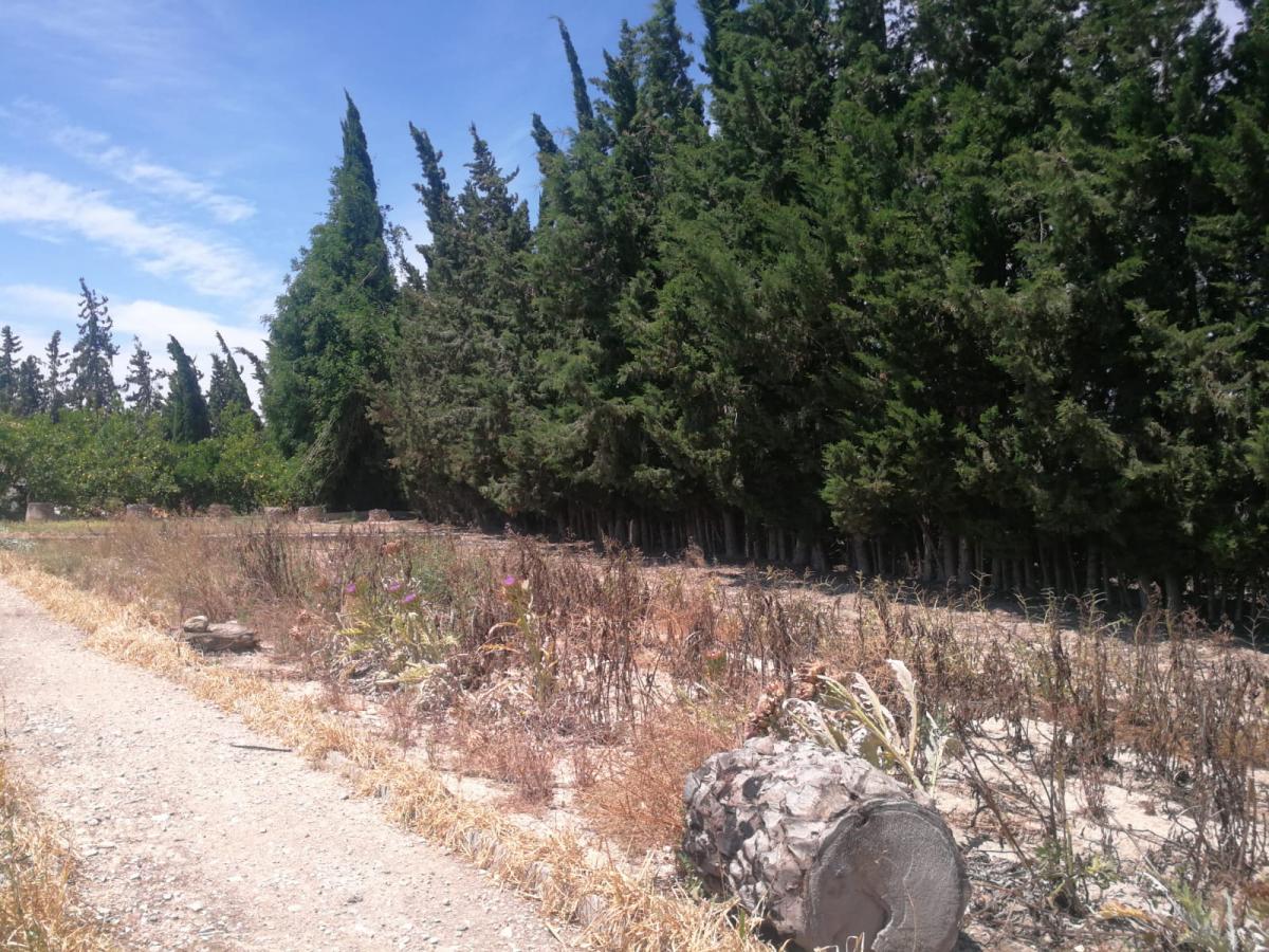 06-06-2019_IMG-20190606-WA0032.jpg