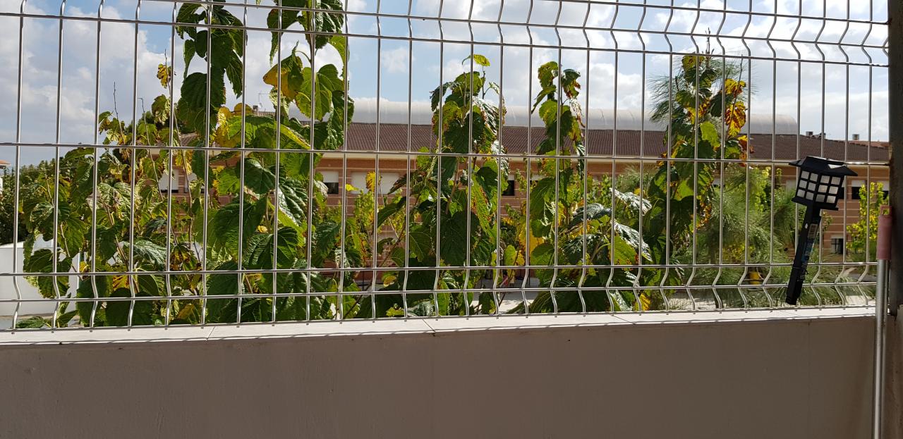 08-10-2019_20191008_122938.jpg