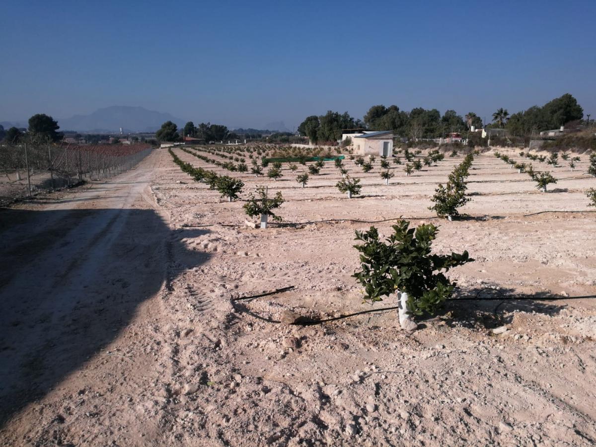 09-01-2020_IMG-20200109-WA0013.jpg
