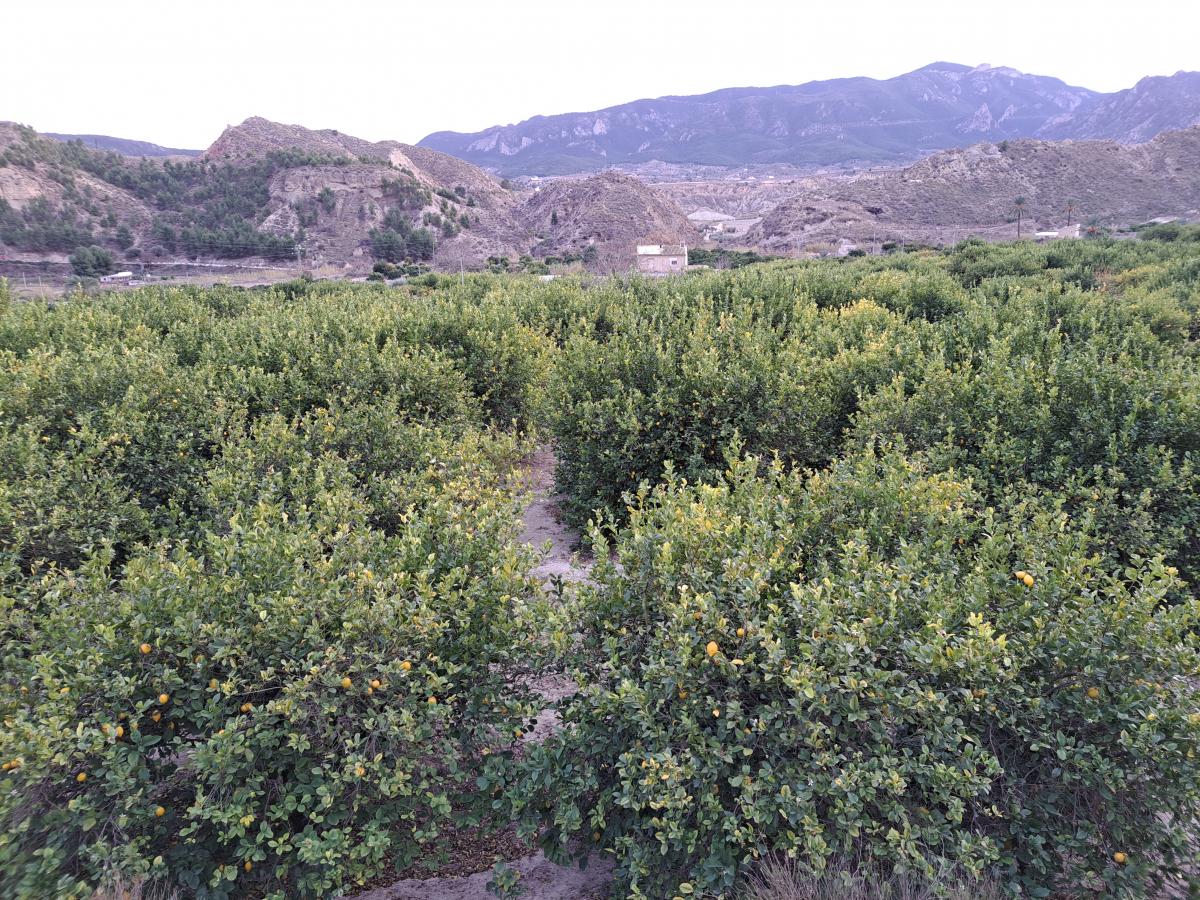 09-02-2023_20230123_174735.jpg