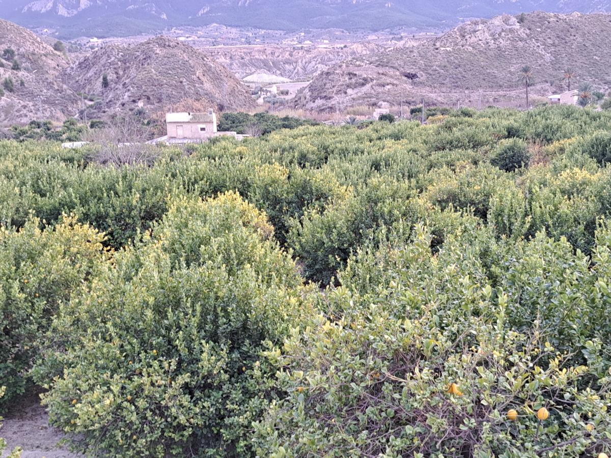 09-02-2023_20230123_174807.jpg