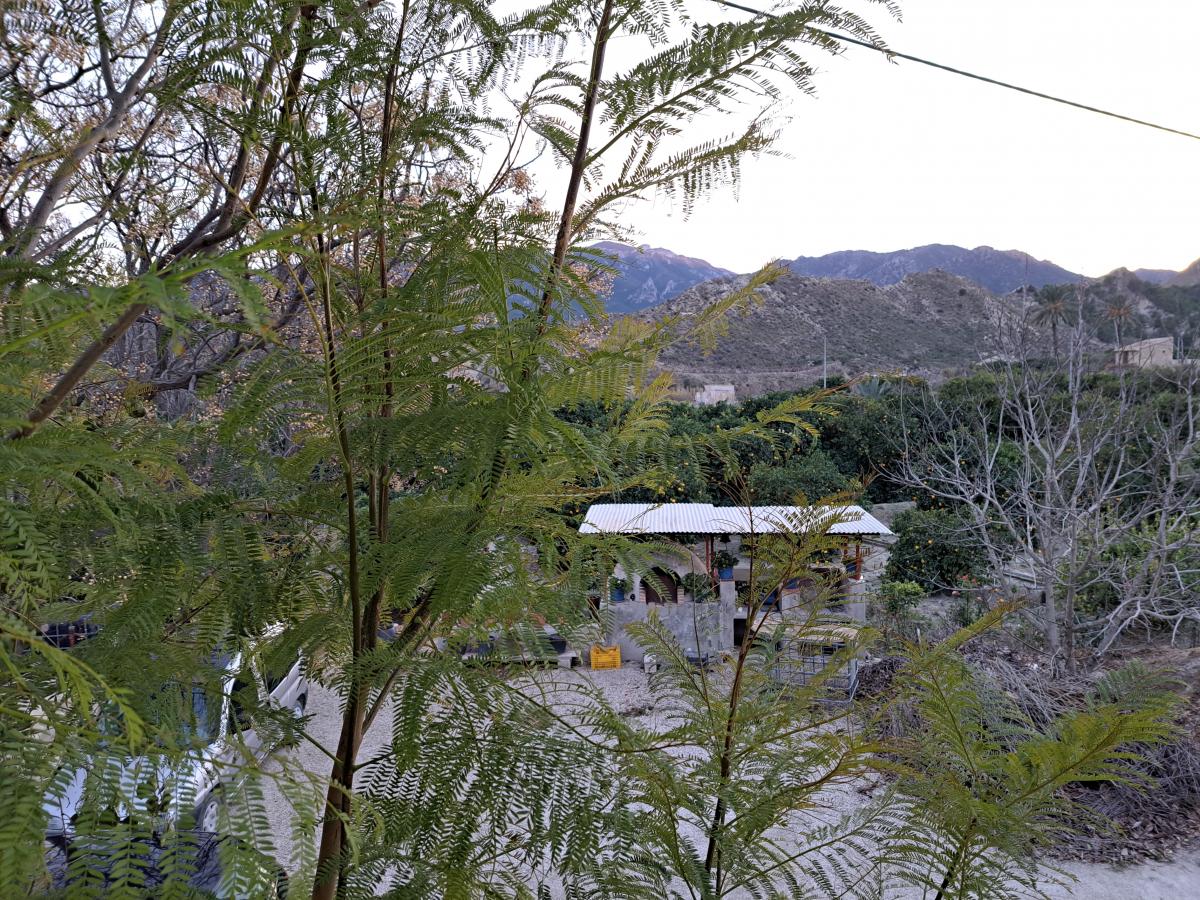 09-02-2023_20230123_180721.jpg