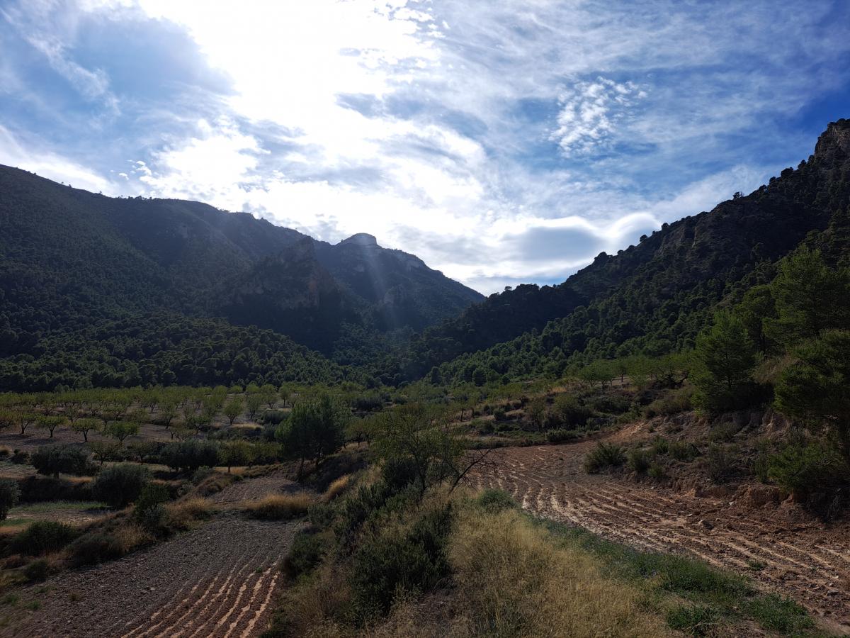 09-11-2022_20221109_132638.jpg