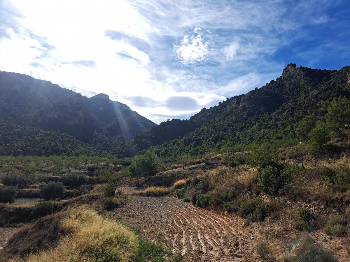 09-11-2022_20221109_132759.jpg