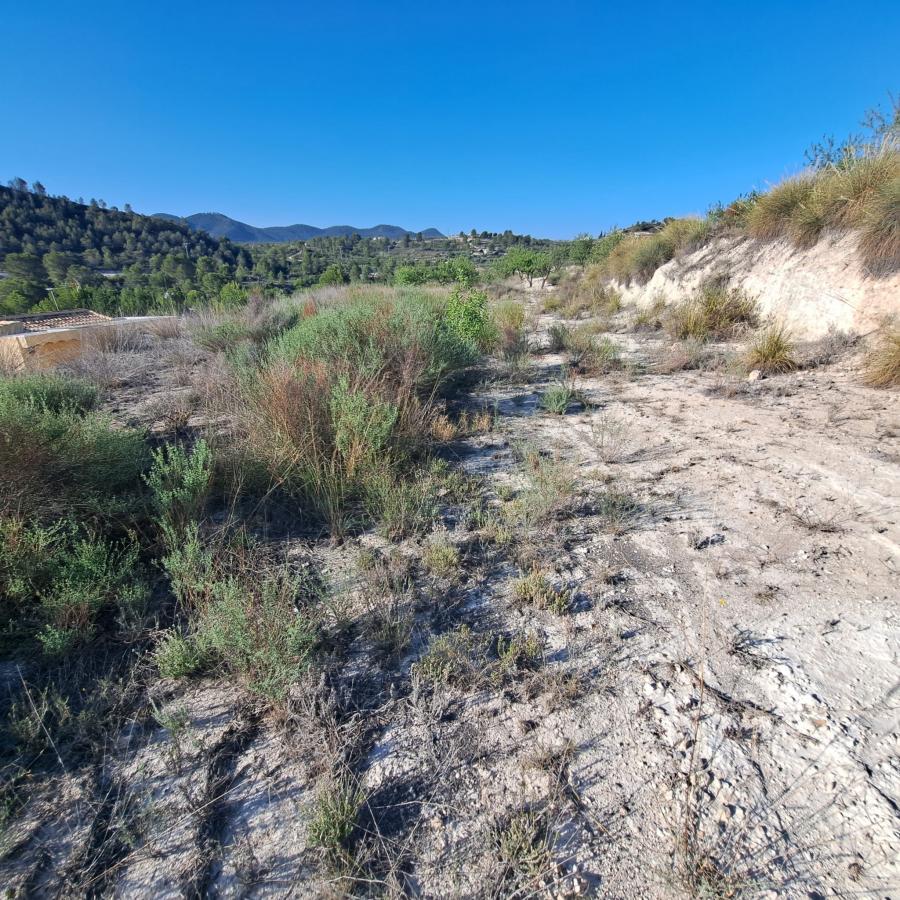 11-07-2024_IMG-20240710-WA0015.jpg