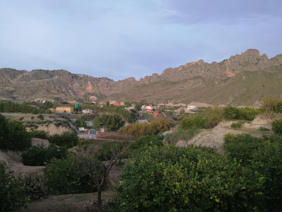 12-12-2019_IMG-20191212-WA0027.jpg