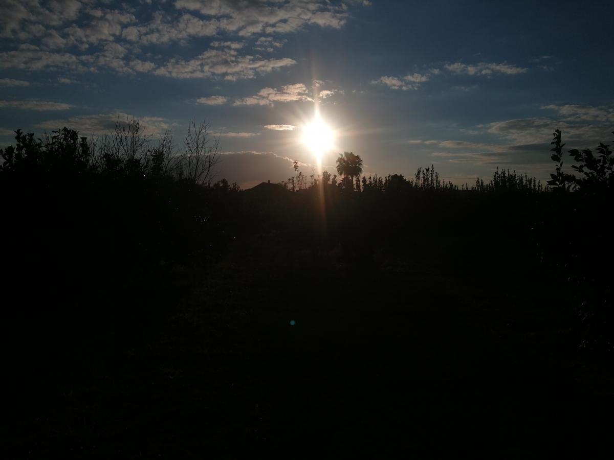 13-01-2022_IMG_20220112_171342.jpg