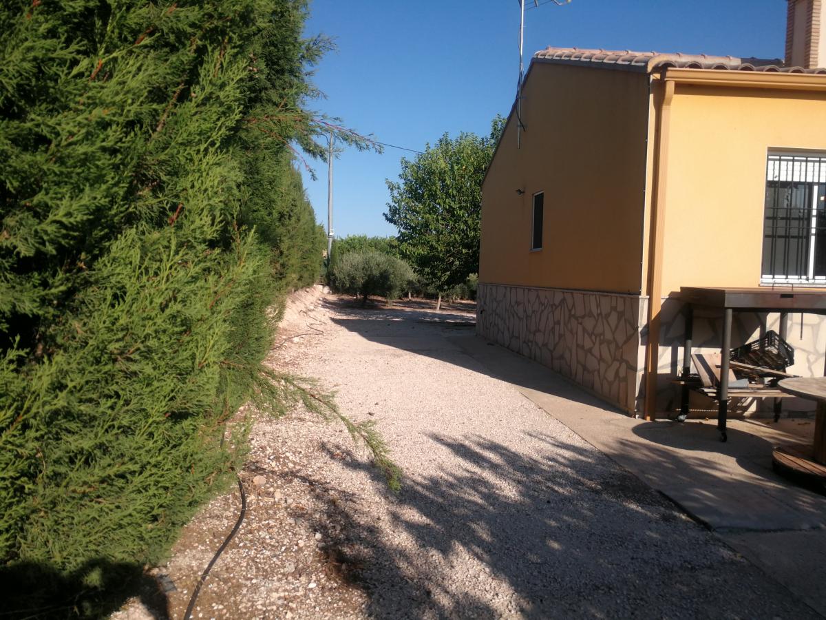 15-07-2021_IMG_20210715_191404.jpg