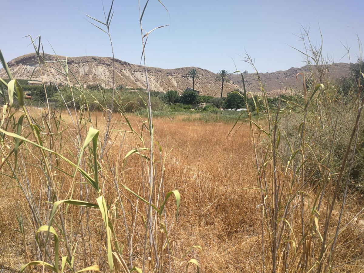 16-07-2019_IMG-20190715-WA0003.jpg