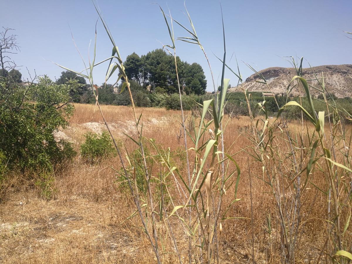 16-07-2019_IMG-20190715-WA0004.jpg