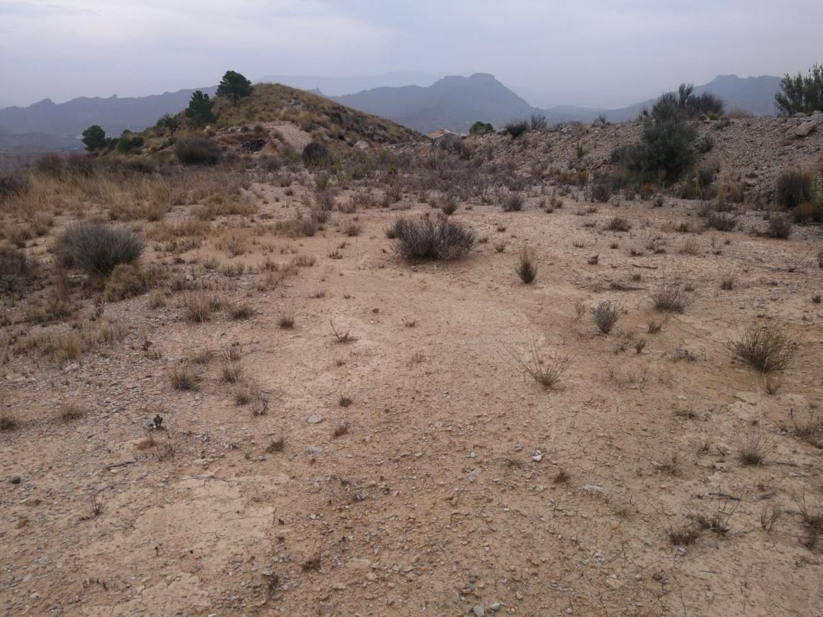 16-12-2019_IMG-20190918-WA0006.jpg