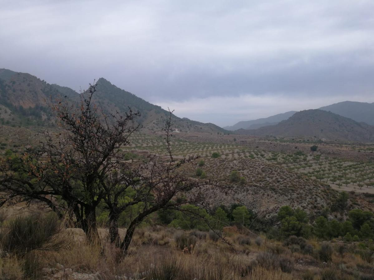 16-12-2019_IMG-20190918-WA0007.jpg
