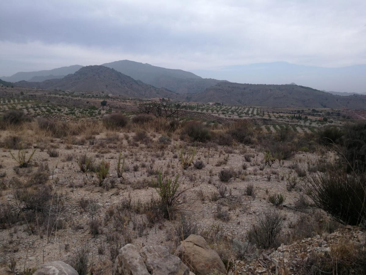 16-12-2019_IMG-20190918-WA0009.jpg