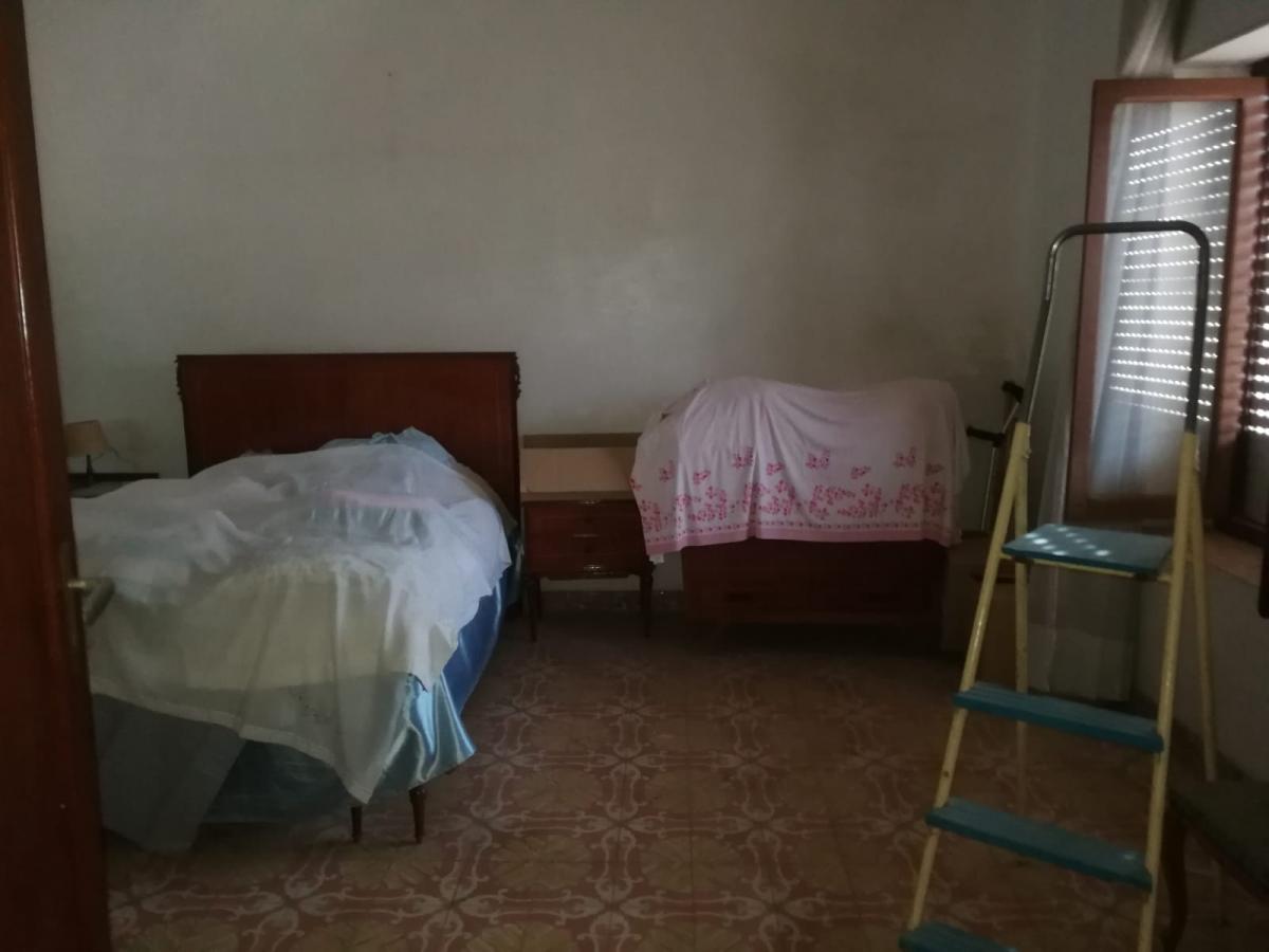 17-02-2022_IMG-20220215-WA0013.jpg