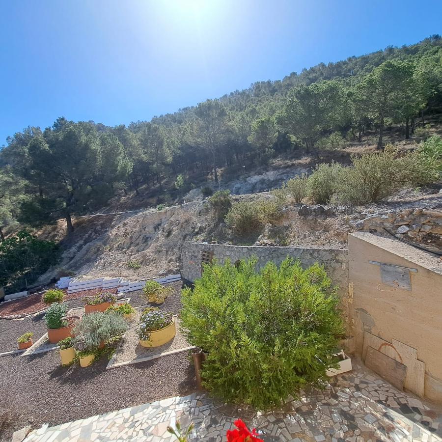 17-04-2024_IMG-20240416-WA0033.jpg