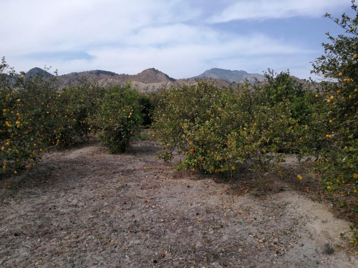 17-06-2019_IMG-20190617-WA0006.jpg