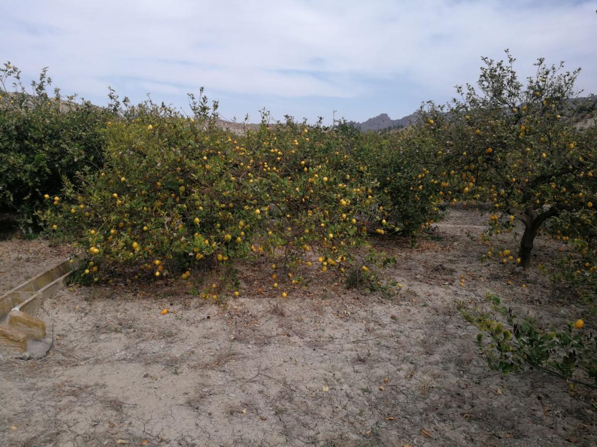 17-06-2019_IMG-20190617-WA0010.jpg