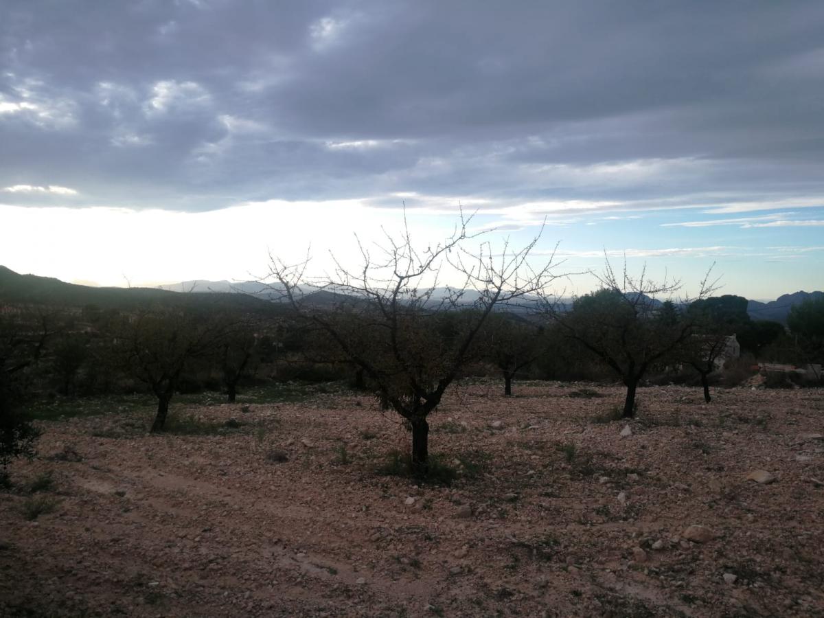 17-10-2019_IMG-20191017-WA0054.jpg