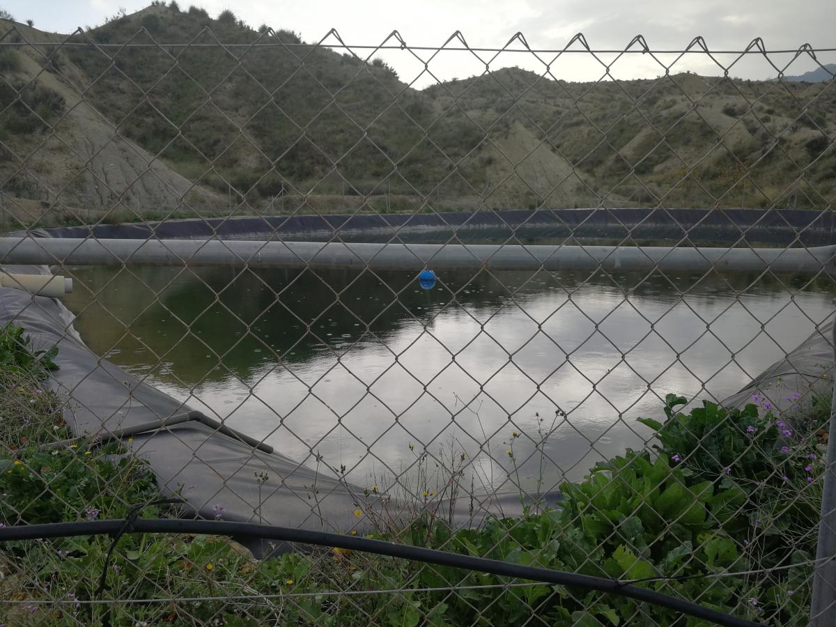 17-12-2019_IMG_20191217_122928.jpg