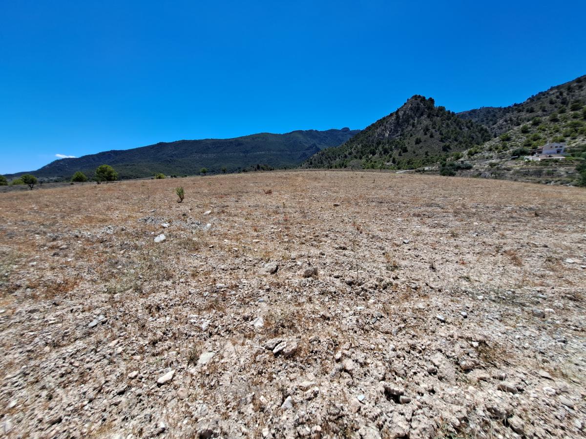18-07-2024_03-08-2023_20230803_135537.jpg
