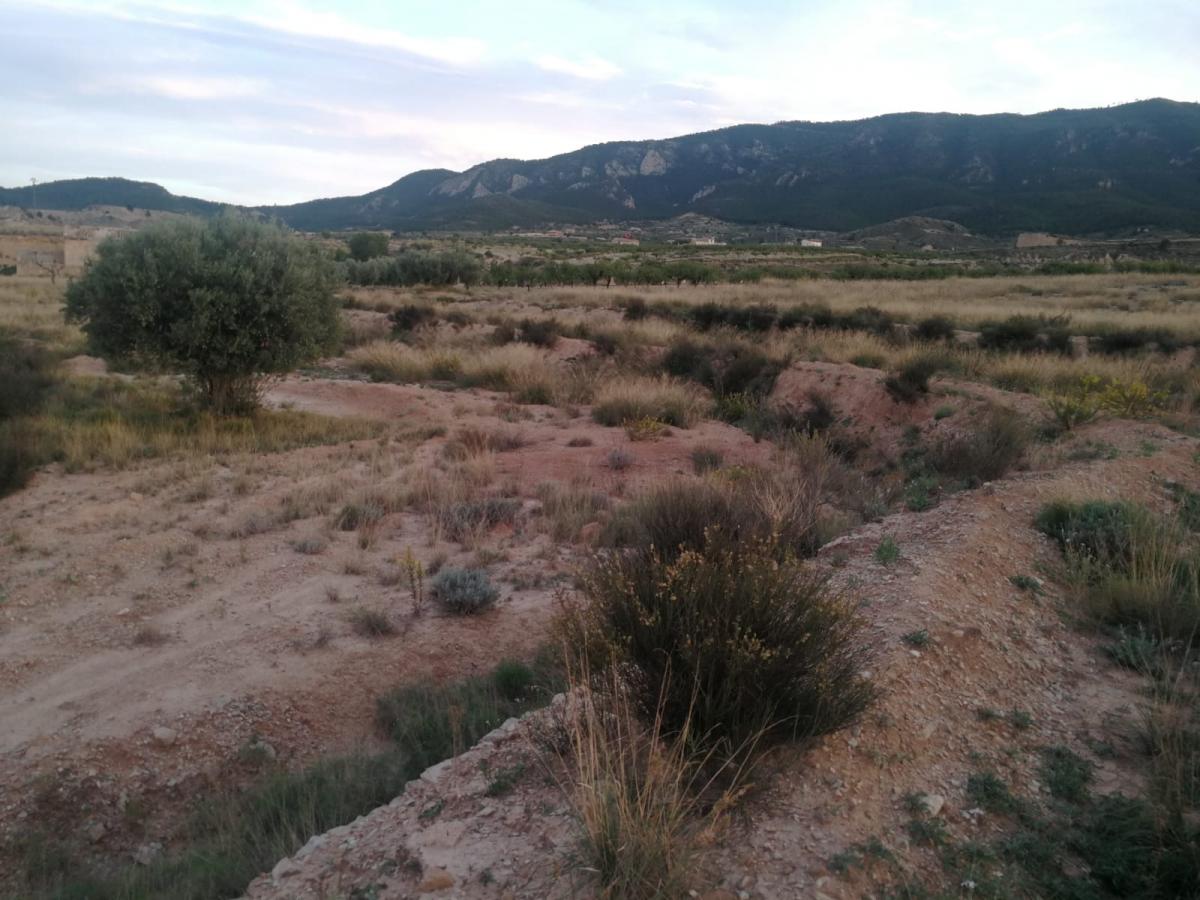 18-10-2019_IMG-20191017-WA0060.jpg