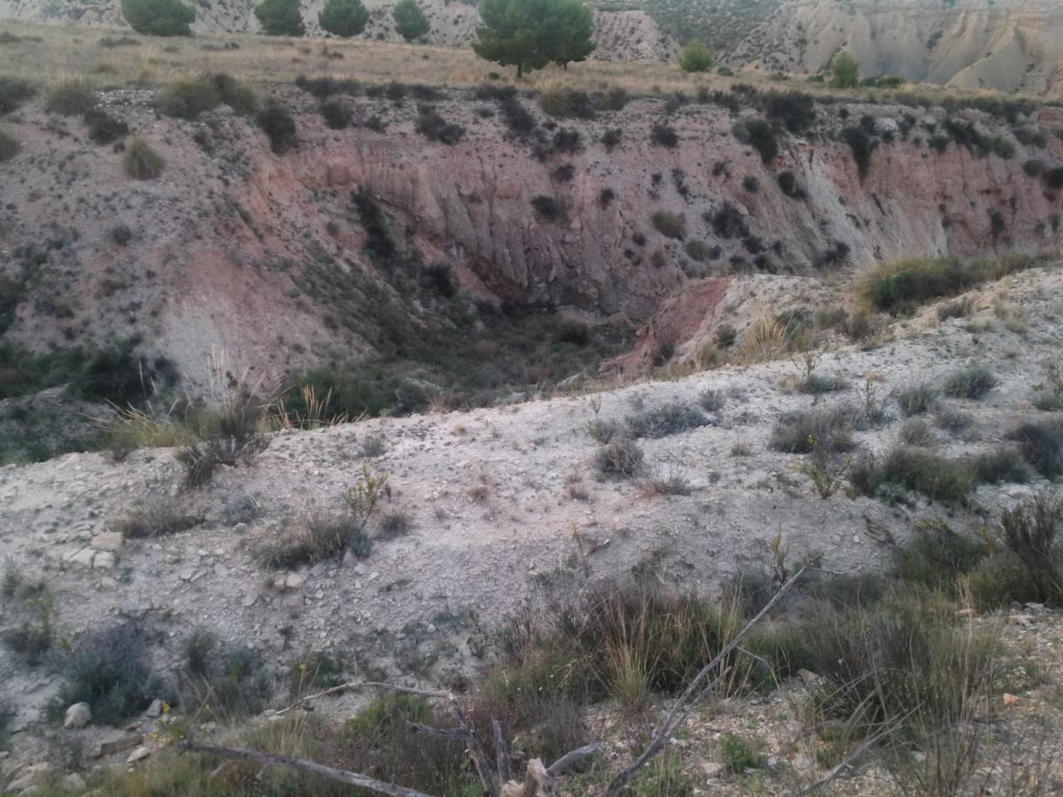 18-10-2019_IMG-20191017-WA0064.jpg
