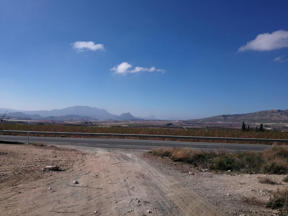 19-02-2019_IMG-20190218-WA0013.jpg