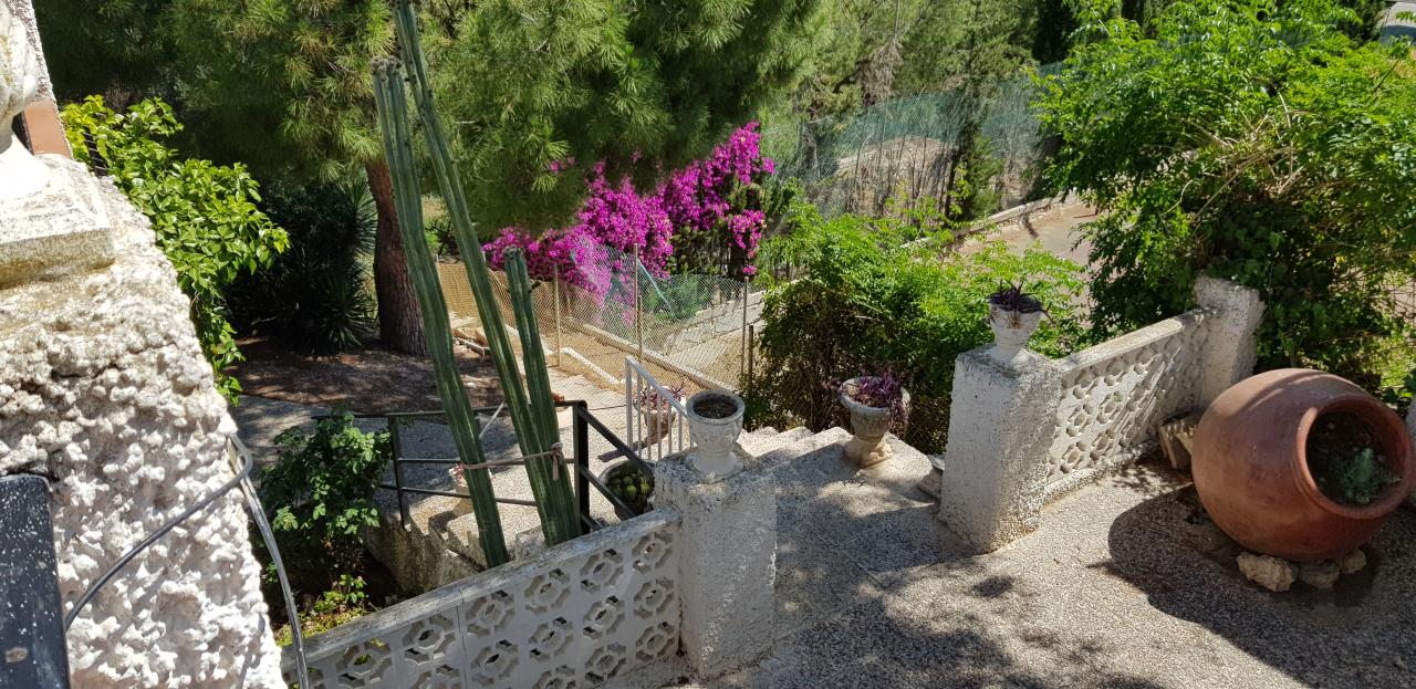 19-06-2019_20190619_113916.jpg