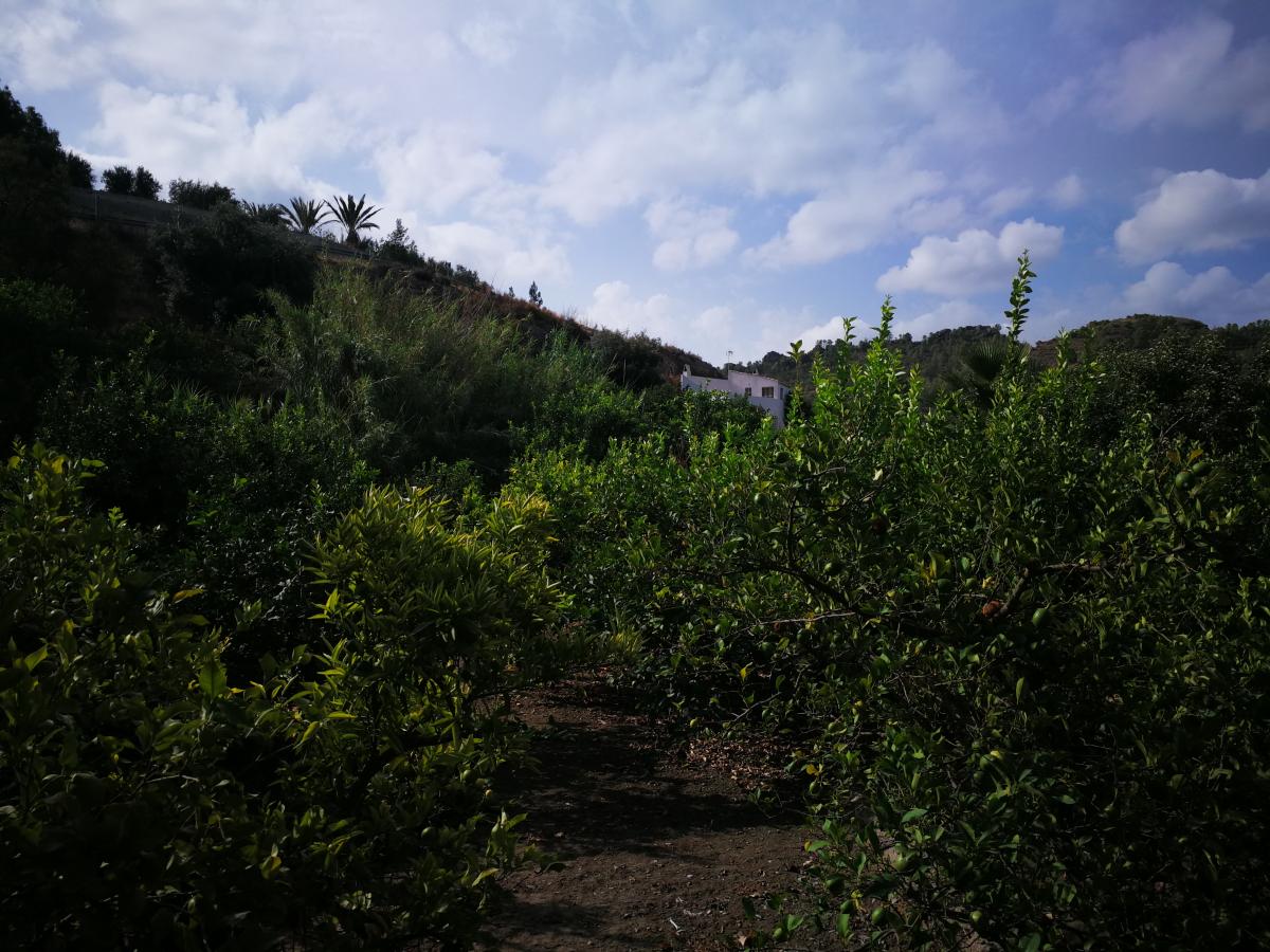 20-08-2017_IMG_20170814_100929.jpg