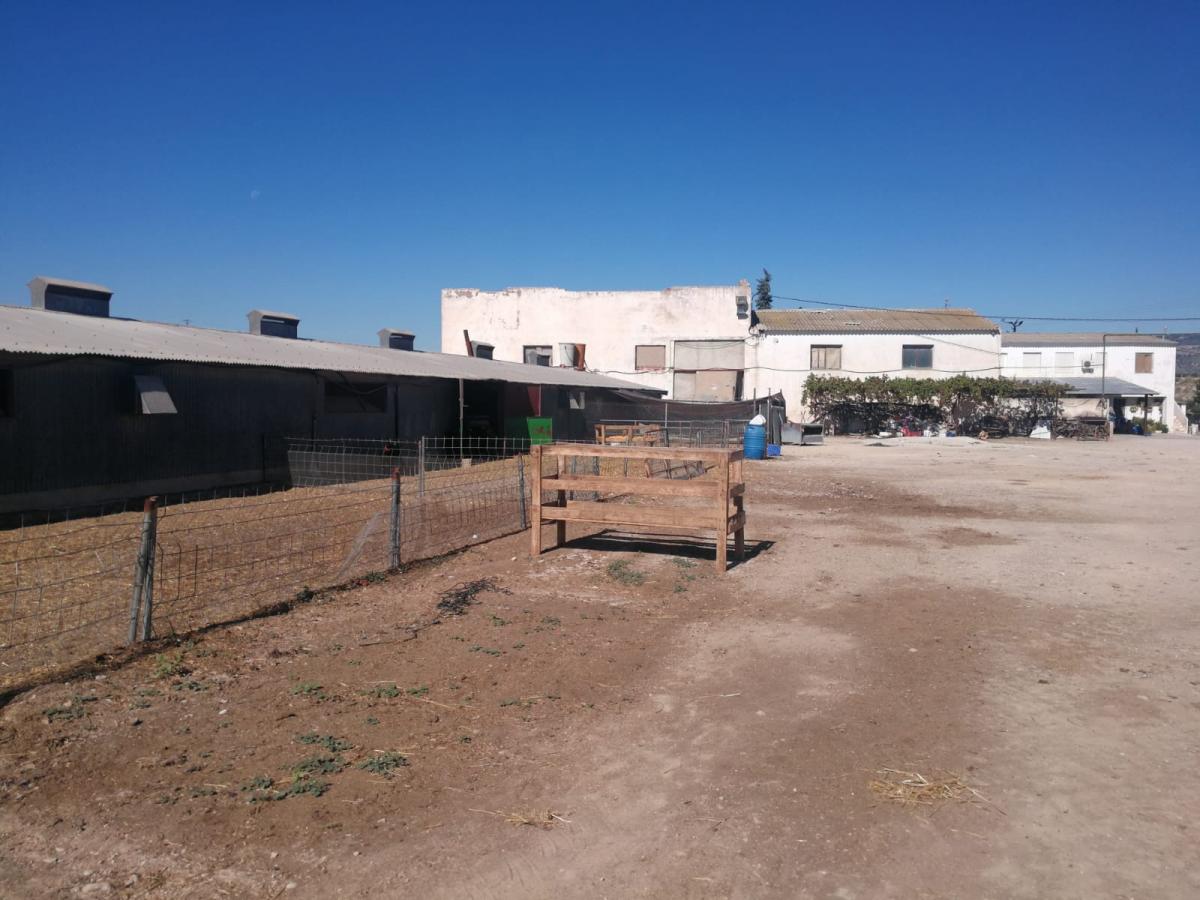 21-10-2019_IMG-20191021-WA0001.jpg