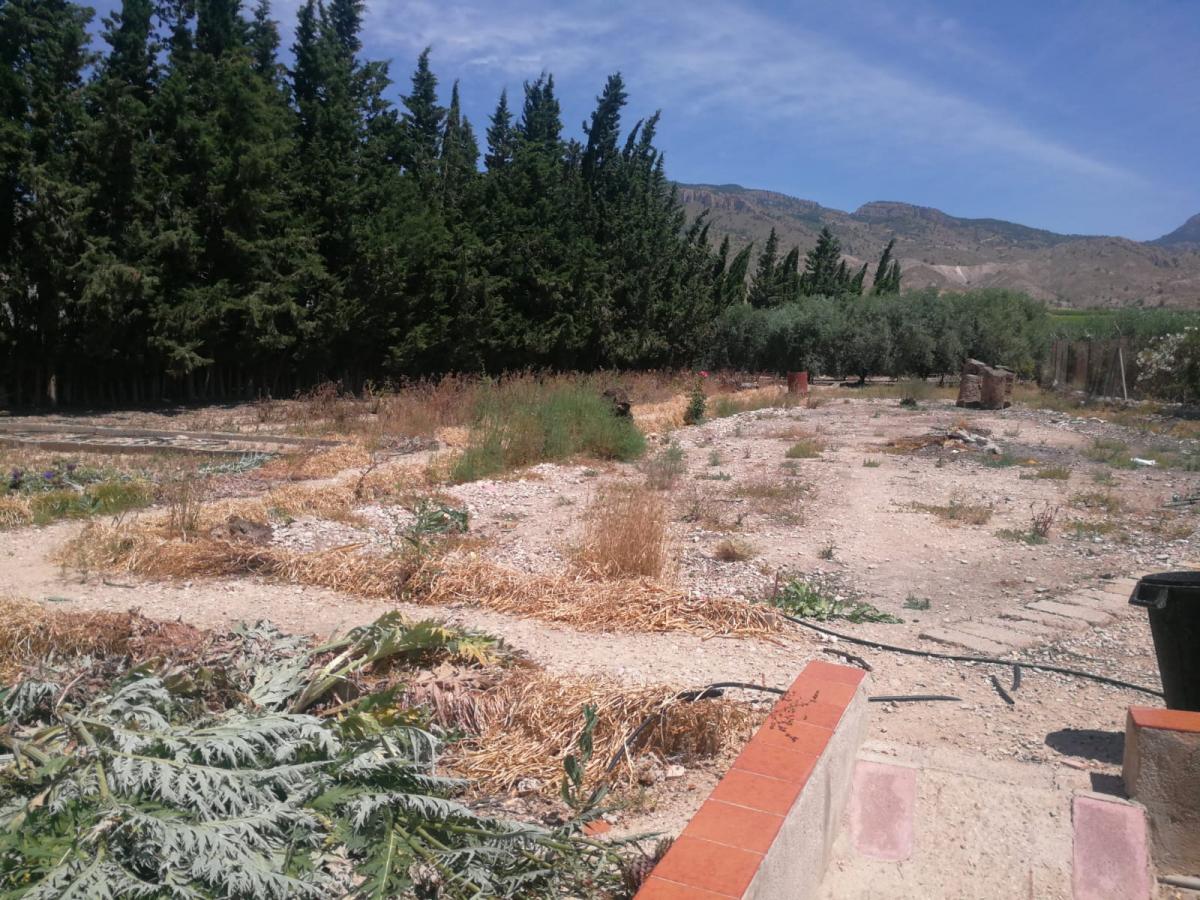 21-10-2020_06-06-2019_IMG-20190606-WA0037.jpg