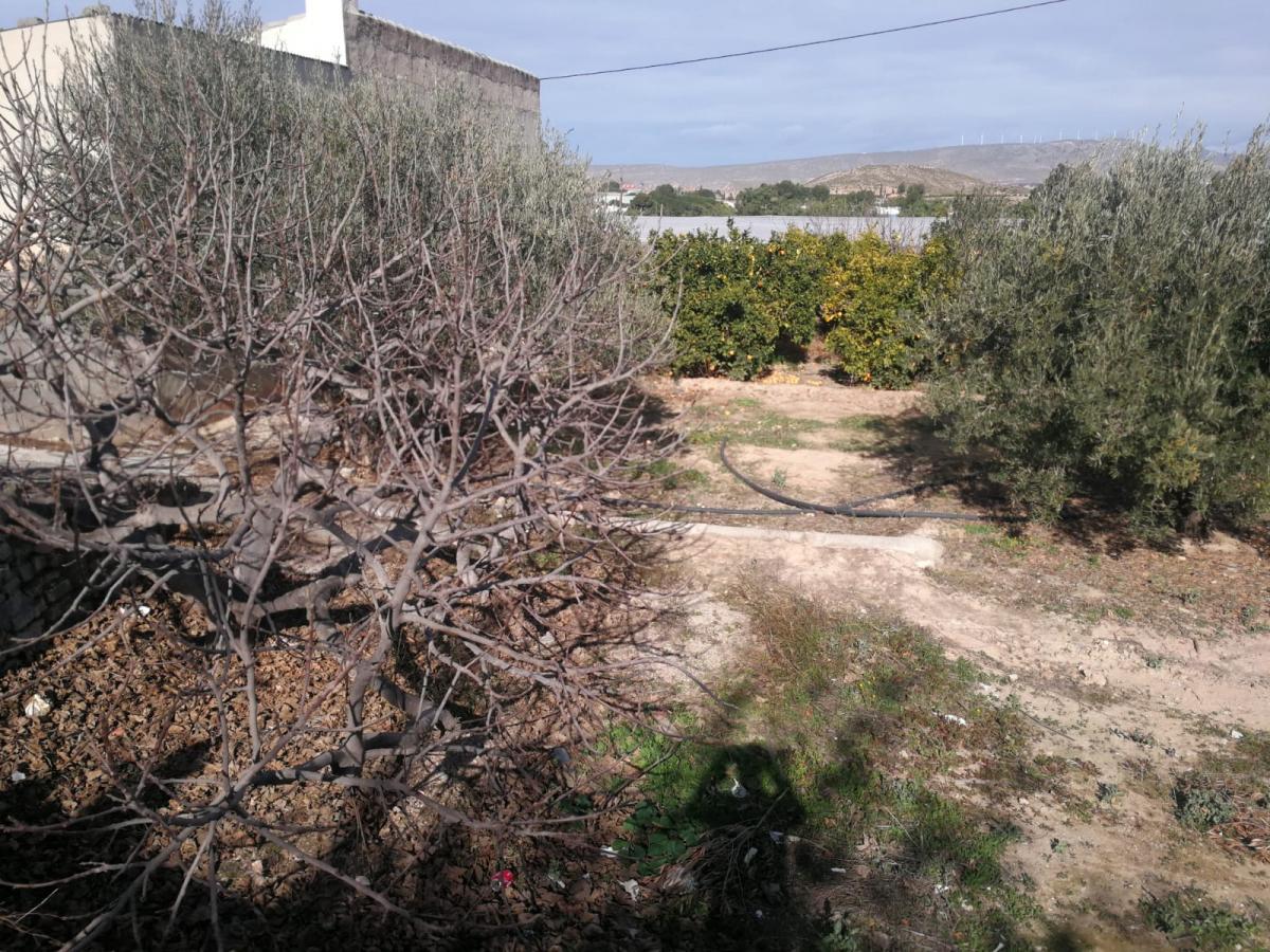 22-01-2021_IMG-20210122-WA0013.jpg