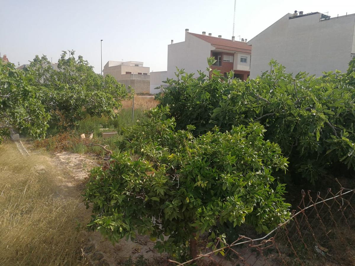 27-06-2019_IMG-20190626-WA0017.jpg