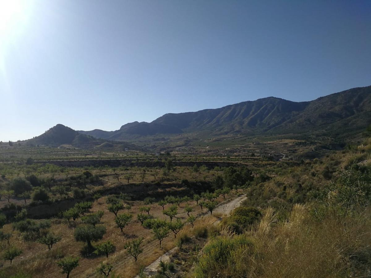 28-05-2020_IMG-20190531-WA0056.jpg