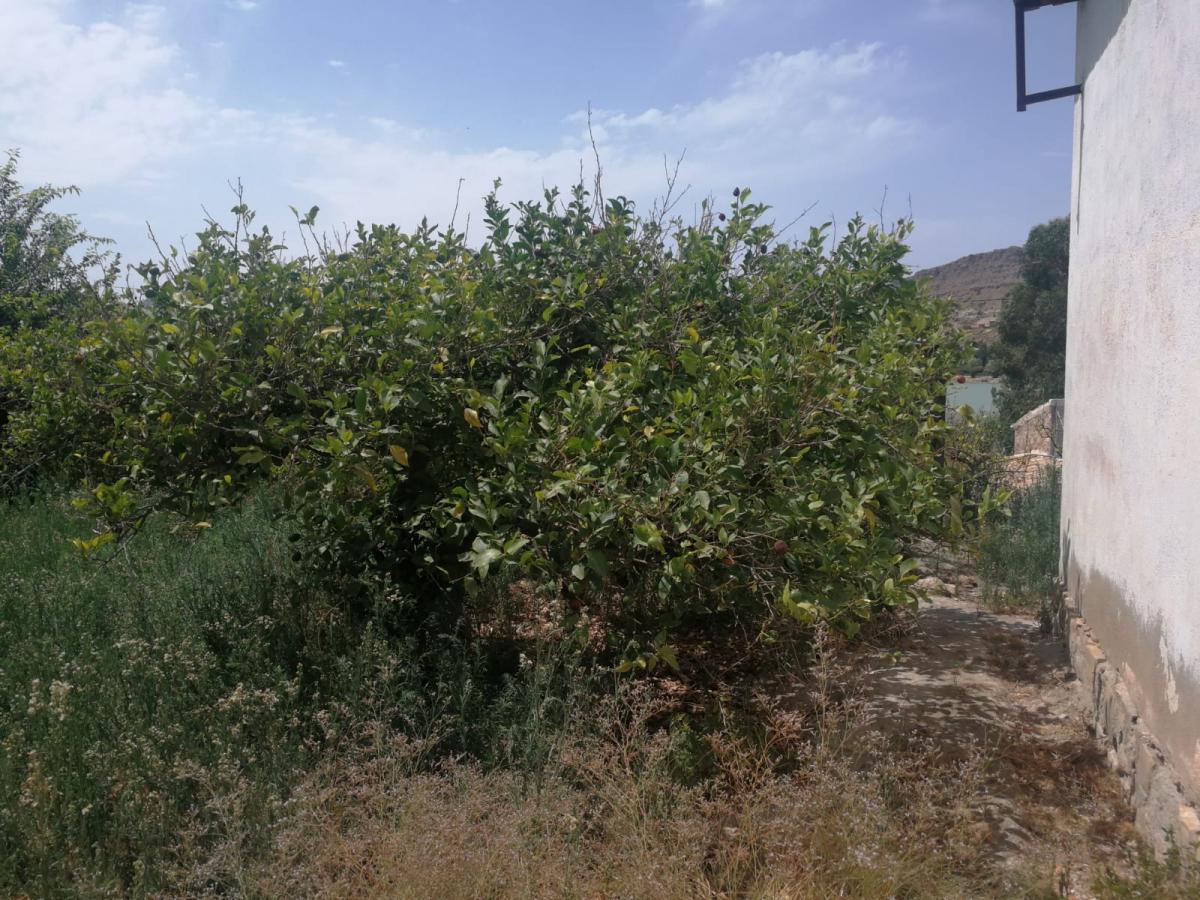 30-07-2019_IMG-20190723-WA0017.jpg