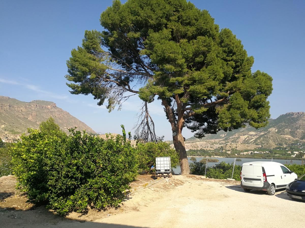 30-09-2021_IMG_20210929_163948.jpg
