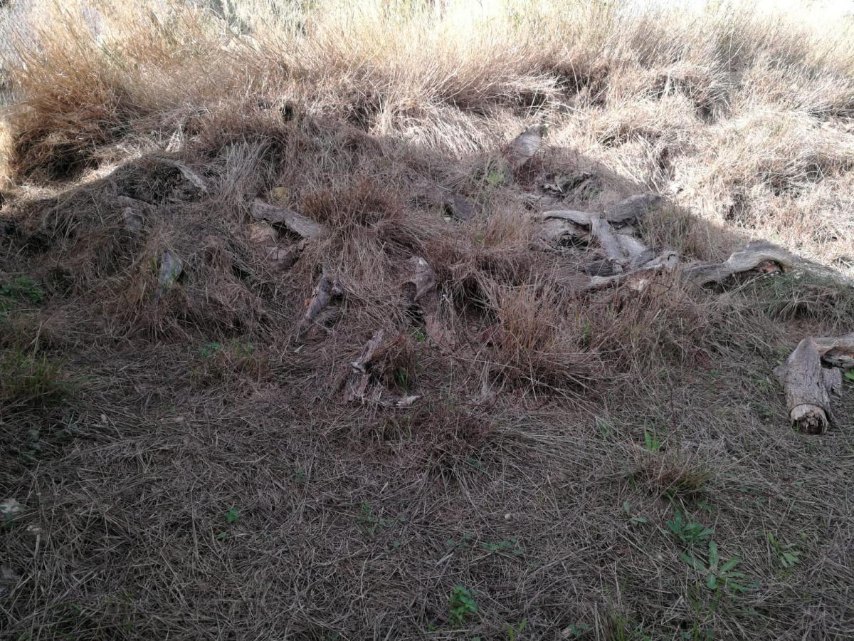 30-12-2020_IMG-20201221-WA0036.jpg